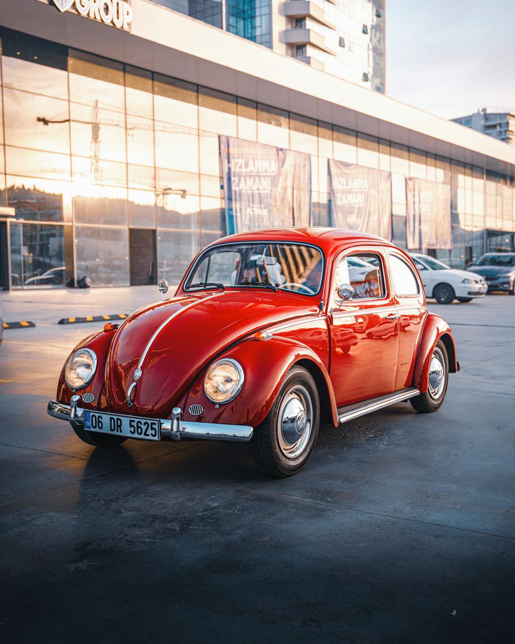 MAL D’AUTO, MAL D’ARIA E MAL DI MARE FIORI DI BACH